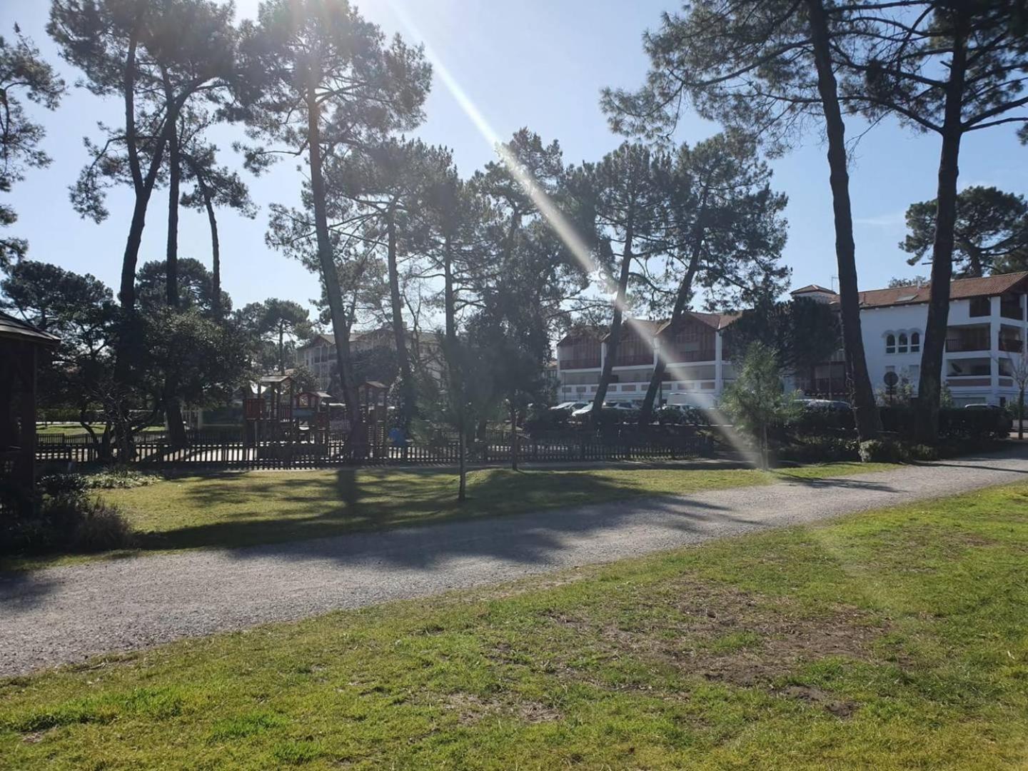 Terrasses Saint Georges - Un Emplacement Exceptionnel Au Centre-Ville Et Au Calme A Quelques Pas Du Lac Marin Сорт-Осгор Экстерьер фото